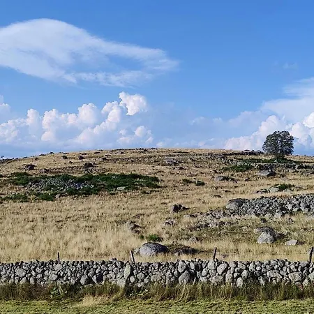 L'oustalou - De 19m² Aux Portes De L'aubrac