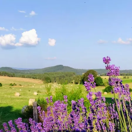 L'oustalou - De 19m² Aux Portes De L'aubrac *
