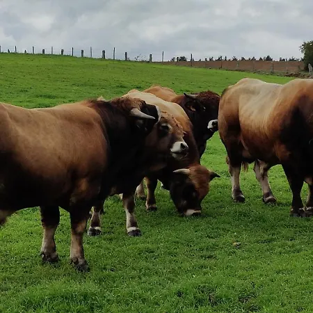 L'oustalou - De 19m² Aux Portes De L'aubrac Casa vacanze